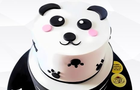 PUNJABS CAKE n BAKE - Customized Cakes in Aligarh