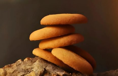 PUNJABS CAKE n BAKE - Taste the Best Premium Cookies in Aligarh